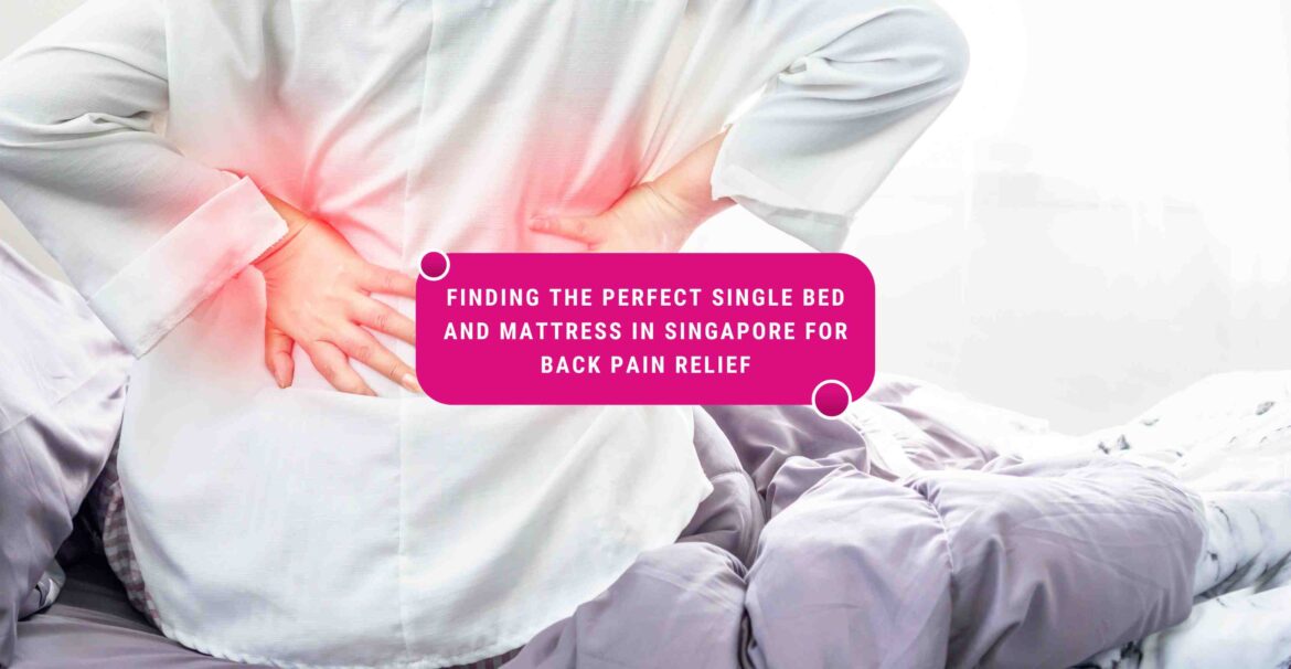 single bed singapore, where to buy bed in singapore, best mattress for back pain singapore