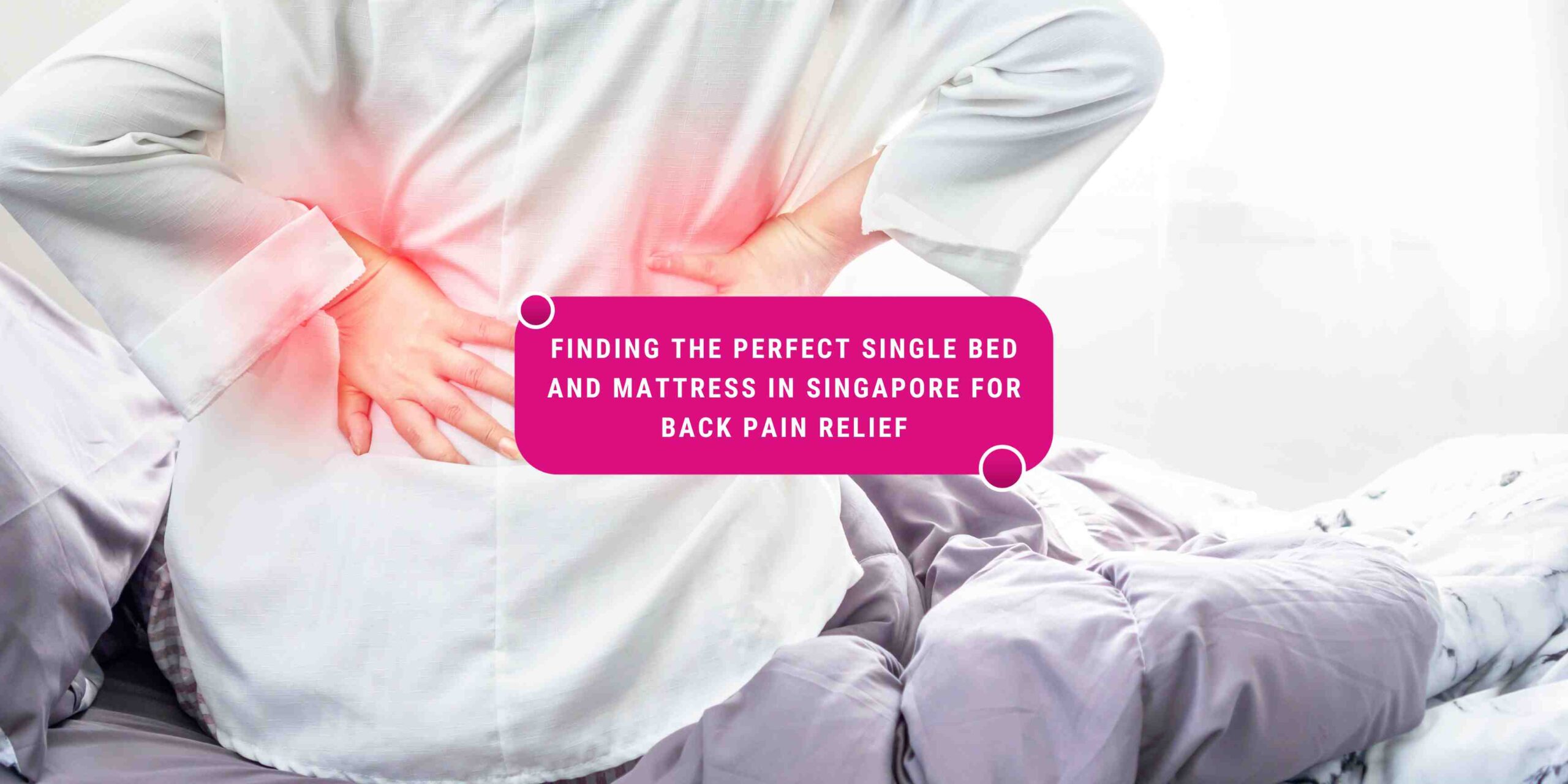 single bed singapore, where to buy bed in singapore, best mattress for back pain singapore