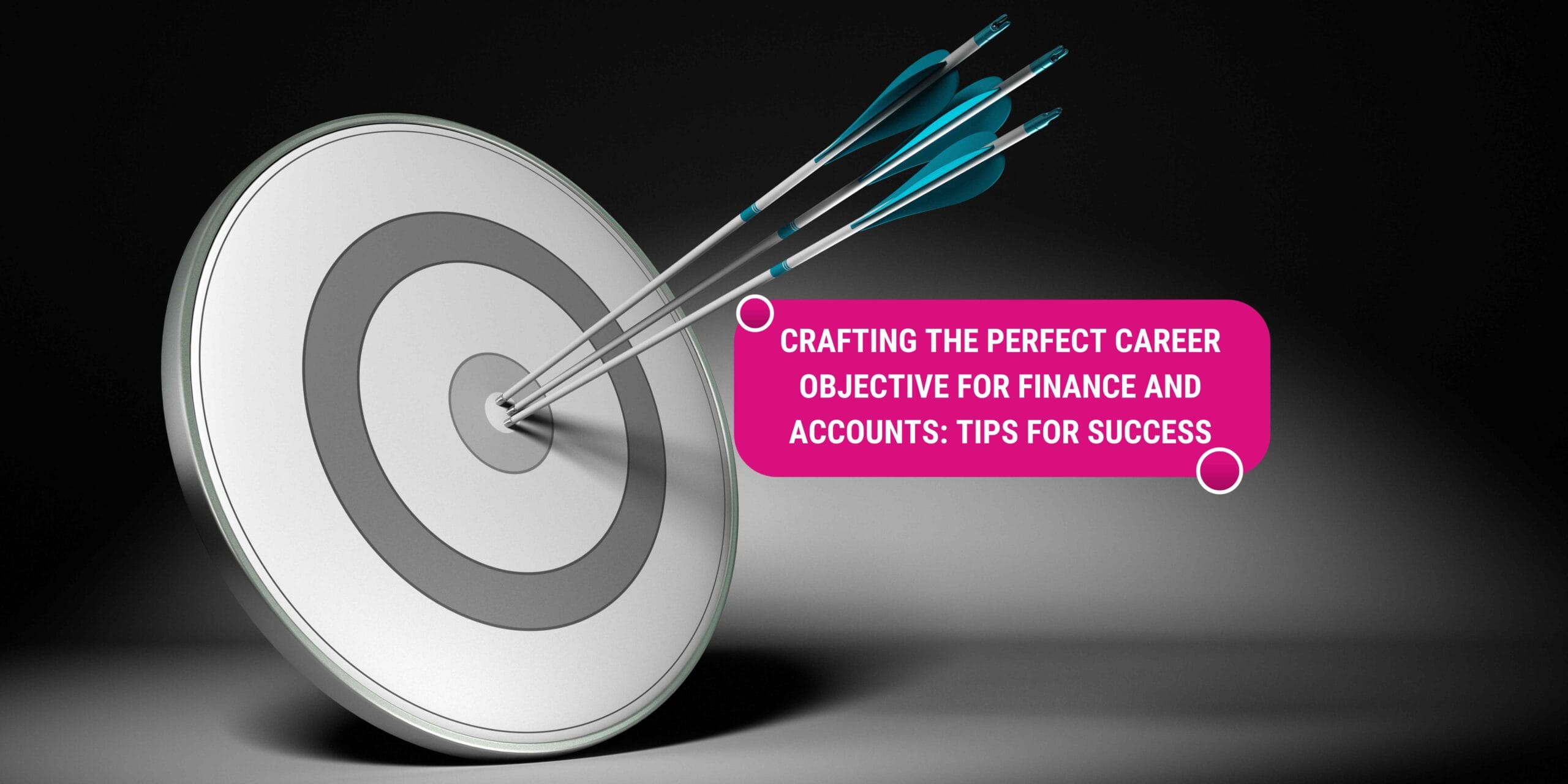 career objective for finance and accounts